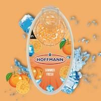 Aromakugeln Summer Fresh Display 1/20 (1x100 Stück)