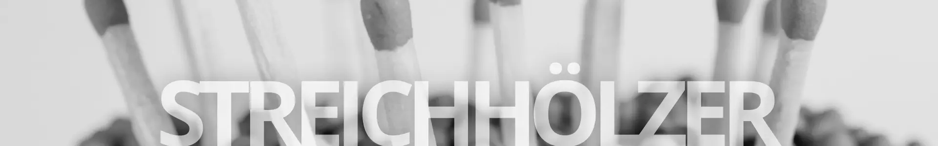 Streichhoelzer Banner Web