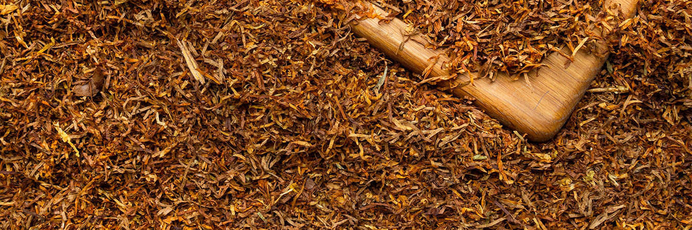Burley Tabak – aromatische Tabakmischung für Zigaretten & Tabakprodukte