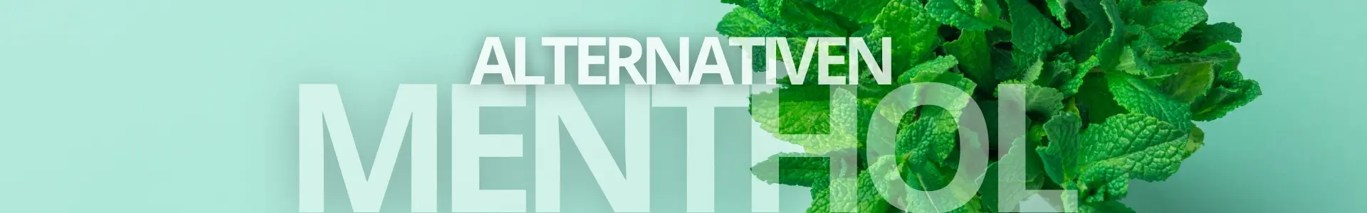 Menthol Alternativen Banner Web