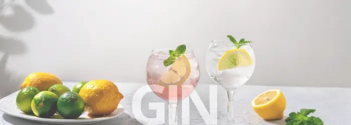 Gin Banner Mobile