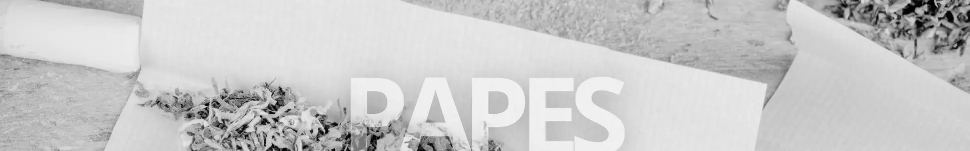 Zigaretten Papes Banner Web