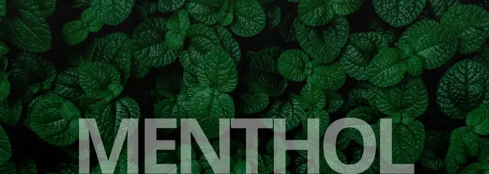 Menthol Banner Mobile Menthol Banner Mobile